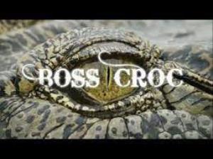 Bross Croc Poster