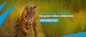 The Great Indian Wilderness Poster