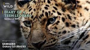 Diary of A Teen Leopard Poster