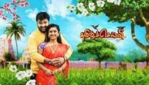Selvi Poster