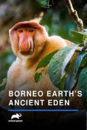 Borneo: Earth's Ancient Eden Poster