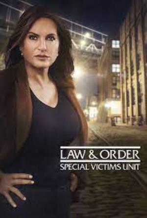 Law and Order: Special Victims Unit Poster