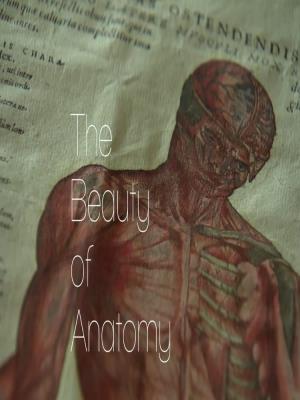 The Beauty of Anatomy Poster