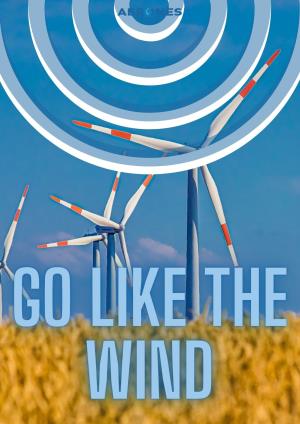 Like The Wind Poster