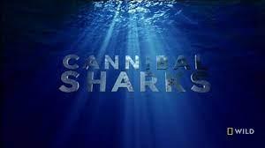 Cannibal Sharks Poster