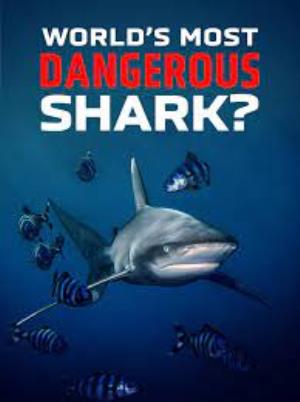 World's Most Dangerous Shark Poster