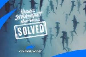 Nature's Strangest Mysteries Poster