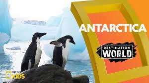 Wild Antarctica Poster