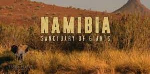 Namibia: Sanctuary Of Giants Poster