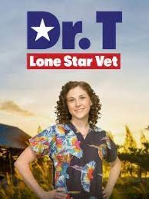 Lone Star Vet Poster