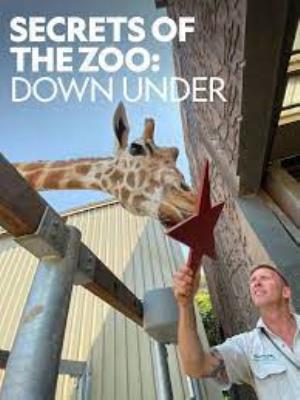 New: Secrets Of The Zoo: Giraffic Jam Poster