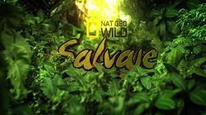 Savage Jungle Poster