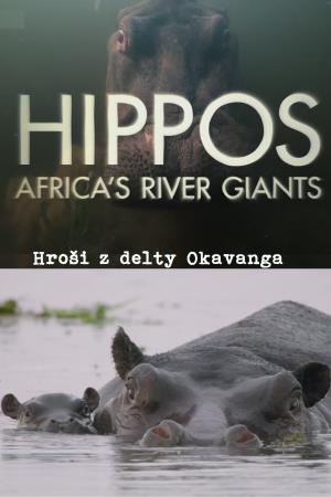 Hippos: Africa's River Giants Poster