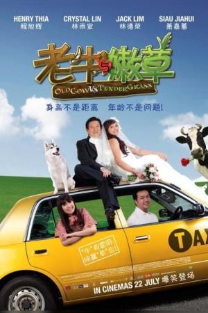 Old Cow VS Tender Grass Poster