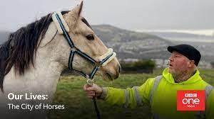 The City of Horses - Our Lives Poster
