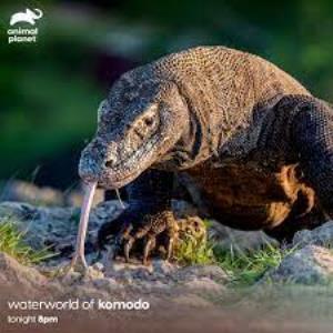 The Waterworld Of Komodo Poster