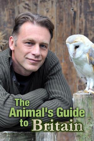 The Animals' Guide to Britain Poster