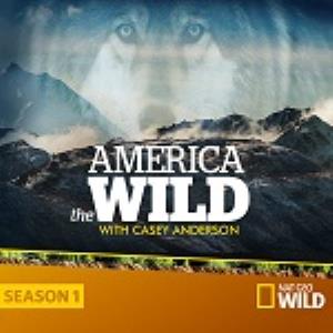 America The Wild Poster