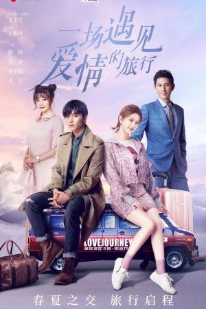 A Journey To Meet Love Poster