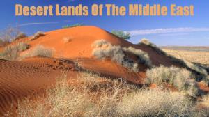 Desert Lands Of The Middle East Poster