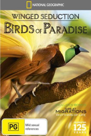 Winged Seduction: Birds of Paradise Poster