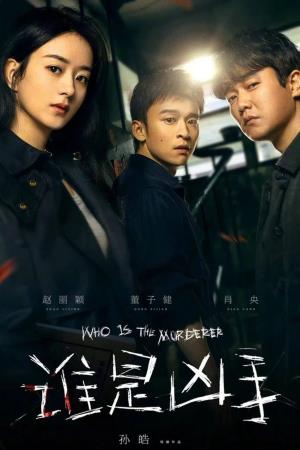  Who Is The Murderer Poster