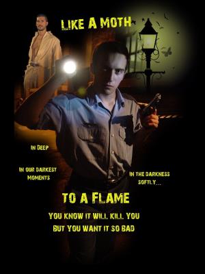 Moth To A Flame Poster