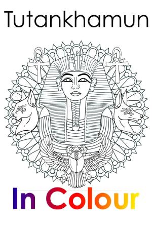 Tutankhamun in Colour Poster