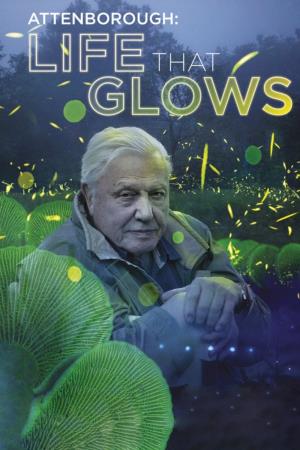 David Attenborough's Light Poster