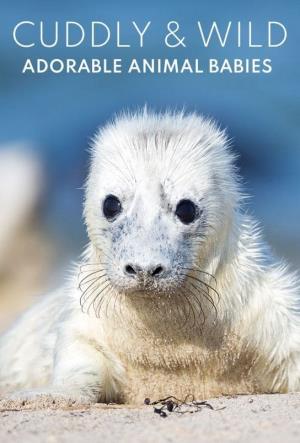 Wild Animal Babies Poster