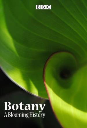 Botany: A Blooming History Poster