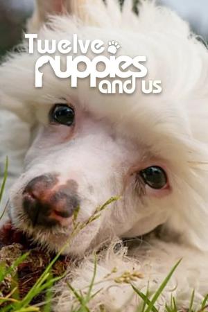 12 Puppies and Us Poster