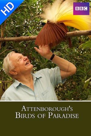 Attenborough's Birds of Paradise Poster