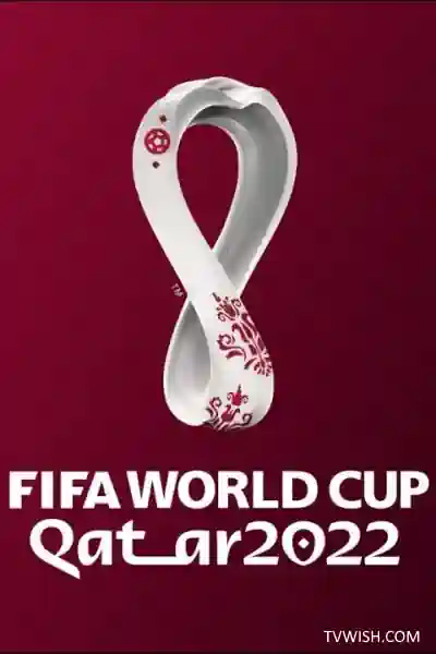 FIFA World Cup Qatar 2022 Live Poster