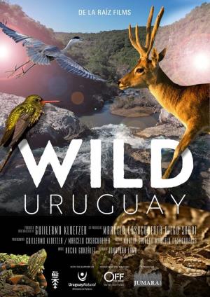 Uruguay Poster
