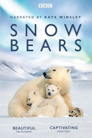 Snow Bears, vita da orsi Poster