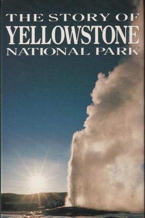Yellowstone National Park Poster