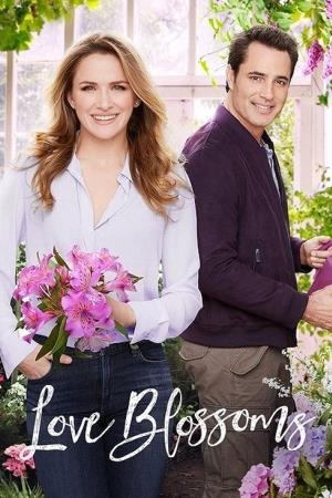 Fragranza d'amore Poster