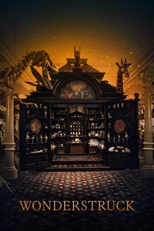La stanza delle meraviglie Poster