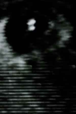 Scusate il disturbo Poster