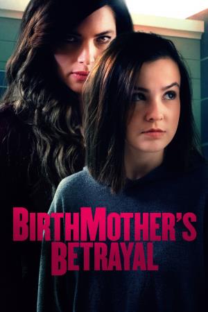 A Birthmother's Secret Poster