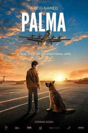 Palma un amore di cane Poster