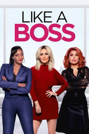 Amiche in affari Poster