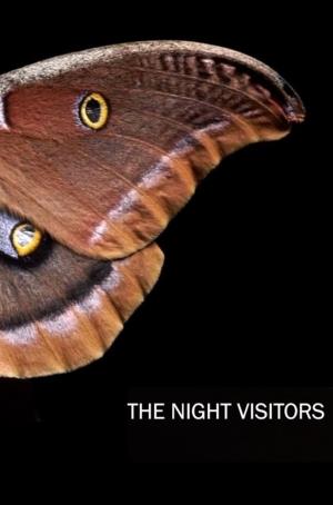 The Night Visitor Poster