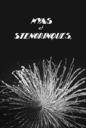 Steno Poster