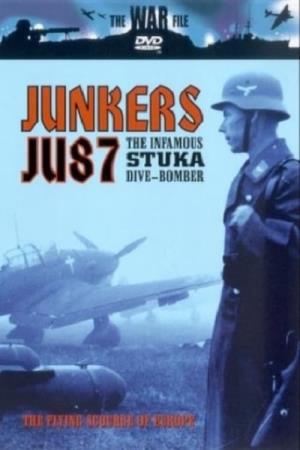 The Stuka Poster