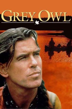 Grey Owl Poster