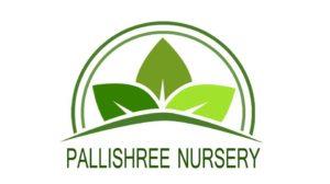 Pallishree Poster