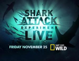 When Sharks Attack! Poster